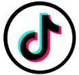 tiktok reviews